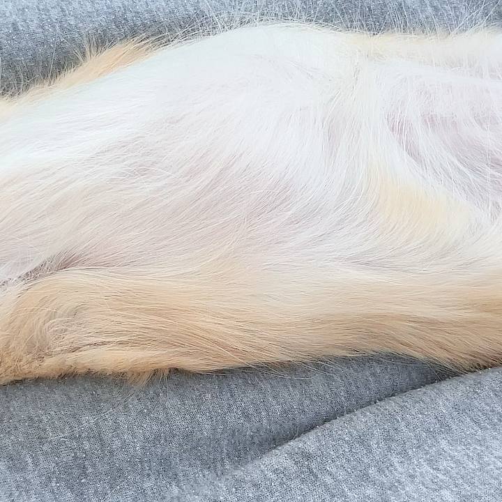 7d4f1555 76d3 42e4 b6a7 1297b17e3c7c 1710669362120