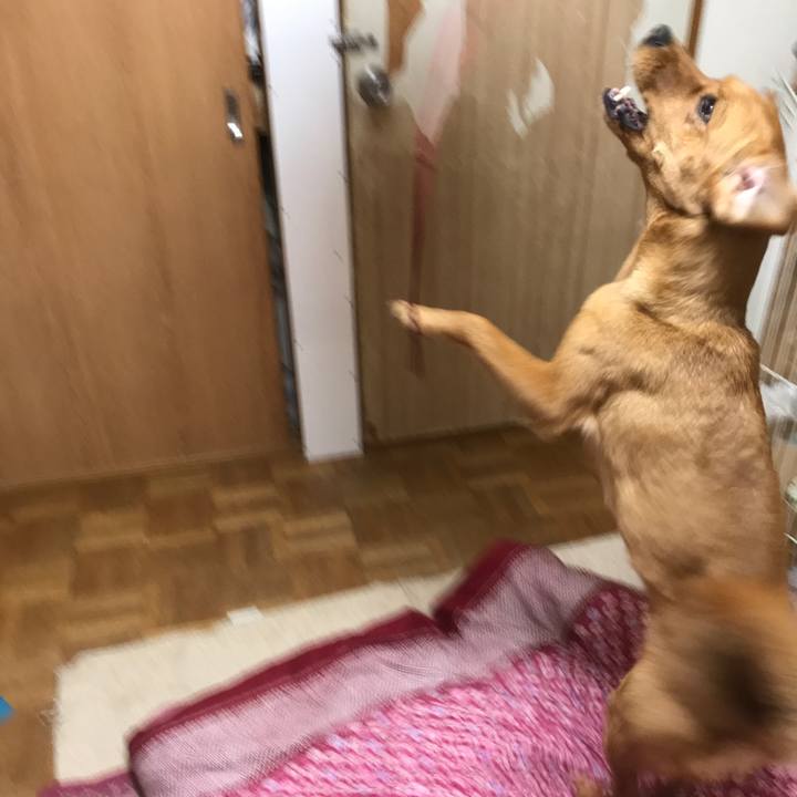 7d4f2e35 105a 4beb a9b9 b2806fa43b0a 1527510709689