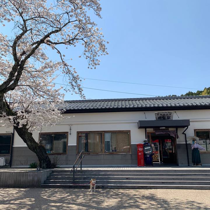 7d4f2ea4 42c6 434f b730 2e53e9f60895 1586422231243