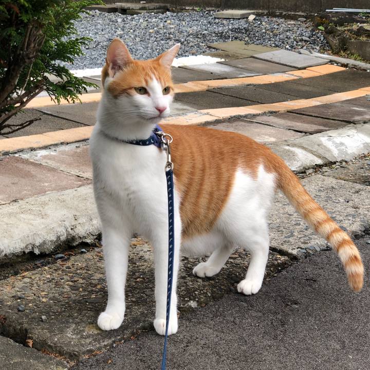 7d4f5855 f9a3 4441 8d5b c3e28a8020ed 1542872963665