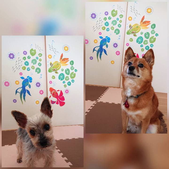 7d4f5f82 3fc6 487b 8e30 de8bd6888a81 1625976936233