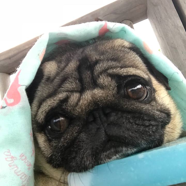 7d4f992e 9e04 4024 939b 116a731cbdf2 1530651070186