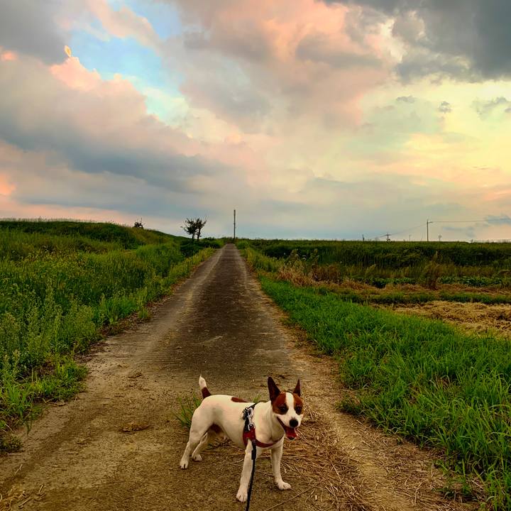 7d4fc71f ceb5 4cf8 b30d 8b5aee5c04fe 1567427995826