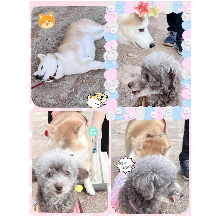 7d4fd2ca 253b 4eb6 9279 ec6b19752a25 1713262062820