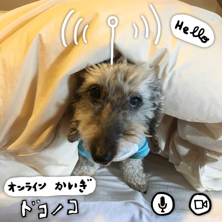 7d4fd73e 437d 413b 91dd 71397d416202 1590710598618