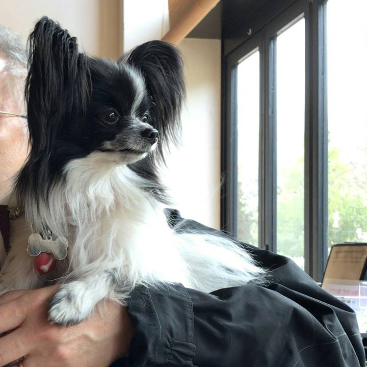 7d50223d 6278 42c6 9f3c 66fd386563f3 1523779146828