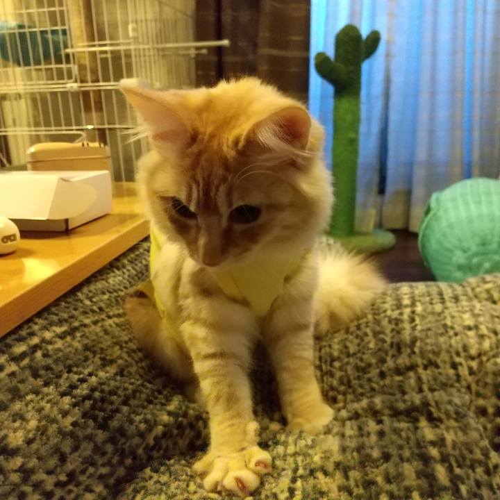 7d502362 243a 4339 8228 8ffdab4f1ed8 1614547548165