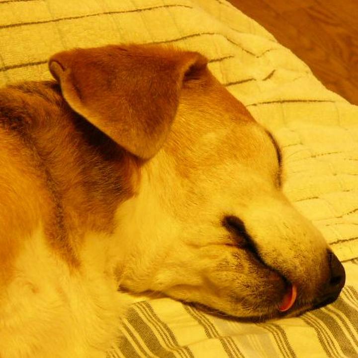 7d5029c4 20ad 4891 bd9b dd4f1bd9fa98 1646872189880