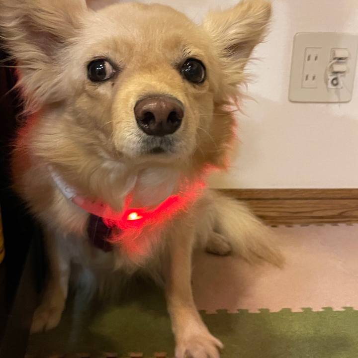 7d502ba7 e575 48db 9068 112428a80bec 1752509613723