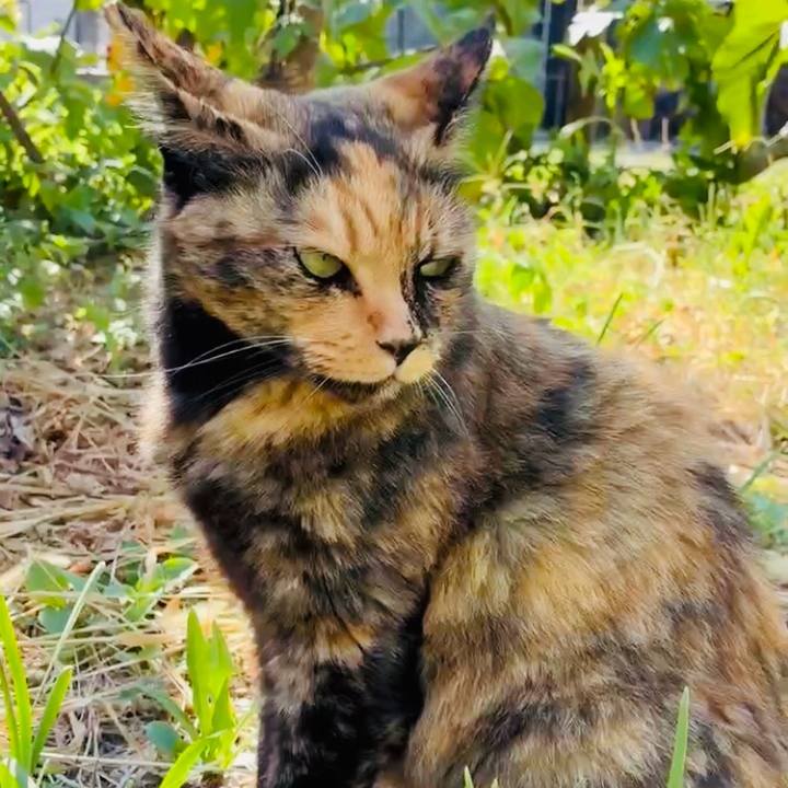 7d502e81 8b70 4219 8809 2fb8b21482fd 1754103123653