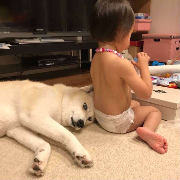 7d502fc7 1ba1 42c6 9c3e 7c70b94d8aaf 1621389434111