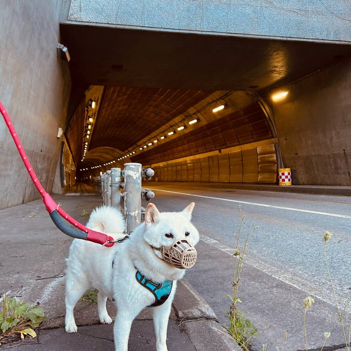 7d505730 3d5d 439f 991c 6646ce071a42 1726436681369