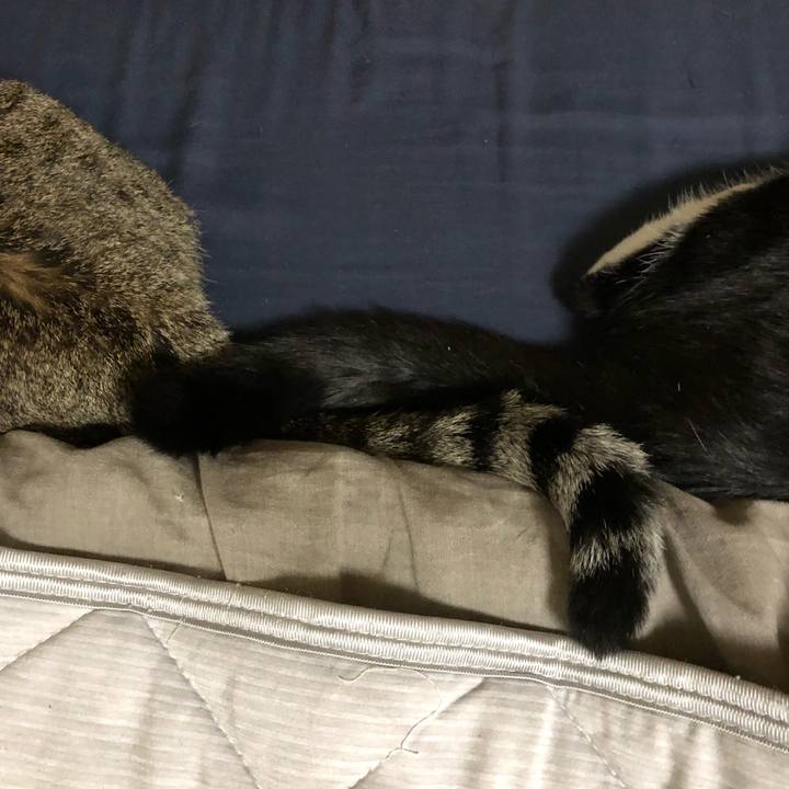 7d509b92 59dd 4b21 90b3 49925e5cbfd7 1537563900963