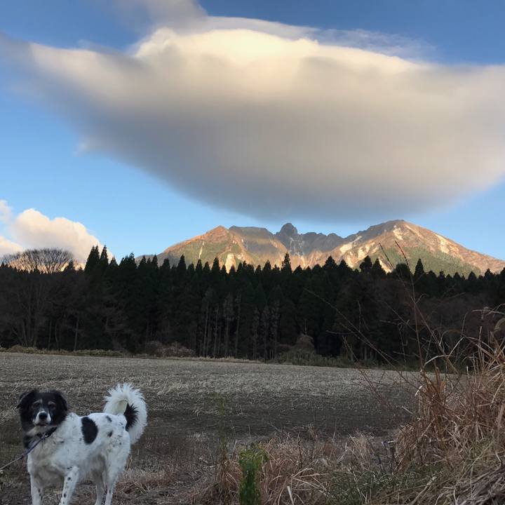 7d50bd96 1533 4964 801c afe7af8fdc4e 1513127699665