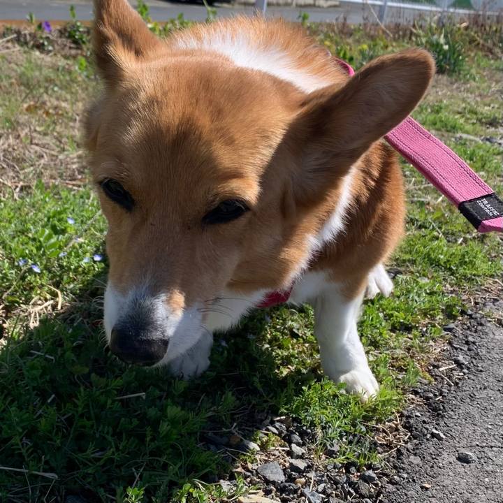 7d50cc18 89cc 4cee bae5 e2c6c2770c88 1679204469148