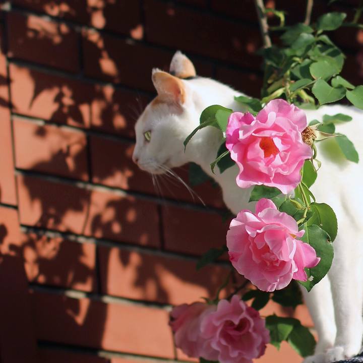 7d50effd d01f 4197 a484 397eb841bac6 1620209111559