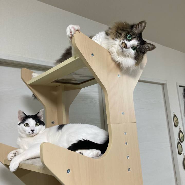 7d50fd4a dc21 4a78 93a6 f7126afa889b 1774619223041