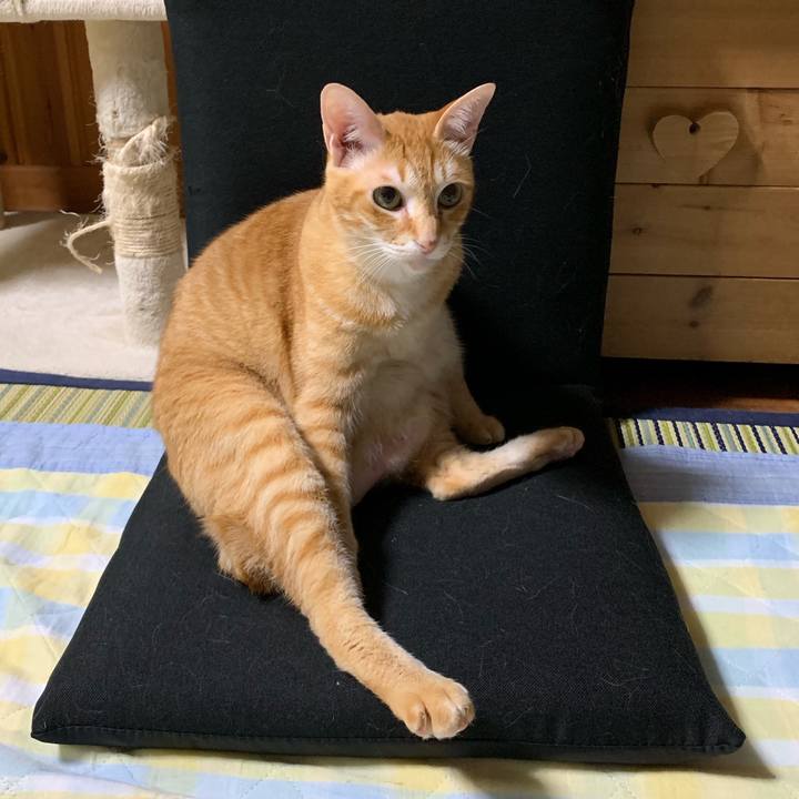 7d5101a0 7109 4ae6 a70d 67d8eae06ded 1558969536574