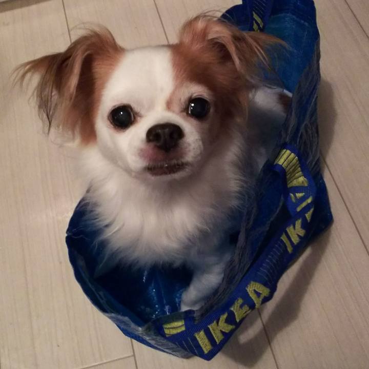 7d510eba bdea 47e9 95f3 332298085eb3 1538124337179