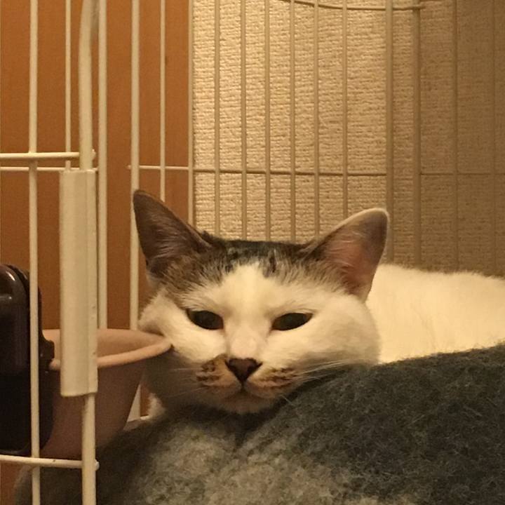 7d511848 f430 4721 9c87 a82e6268cc60 1515075071184