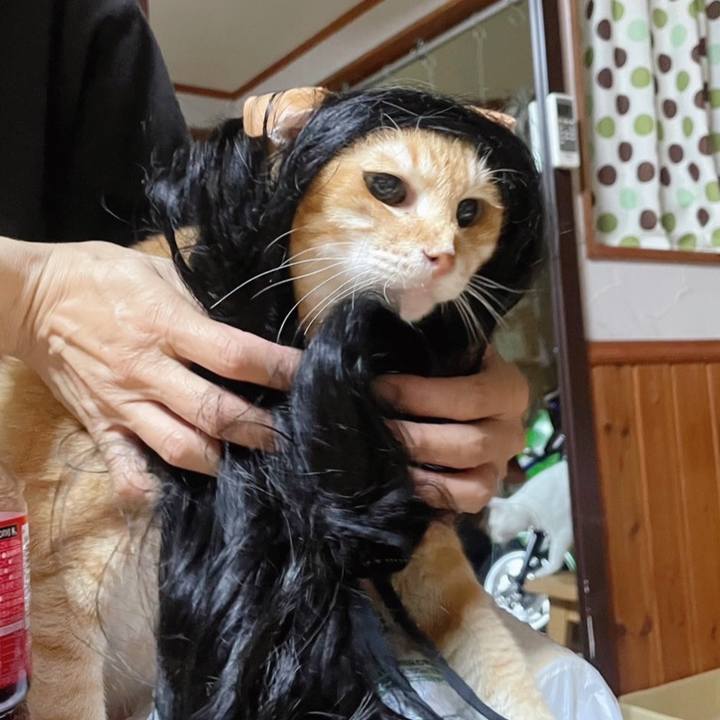 7d511ec3 0379 428d a418 822cf9ef553a 1690729591092