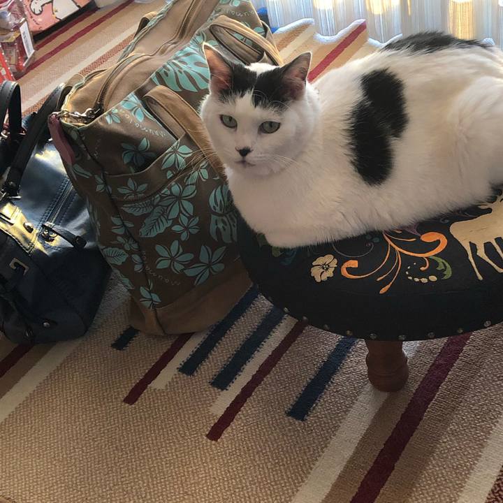 7d5134a2 8034 4ec2 9e40 6257a0a36a74 1545985583668