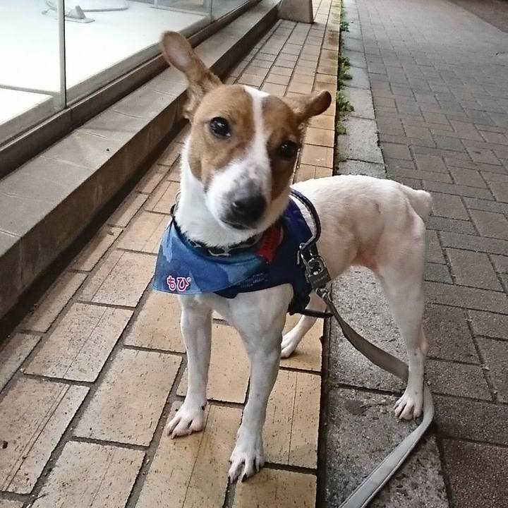 7d5144f6 a1d8 4031 b20f 03b305dfc3d8 1523968567076