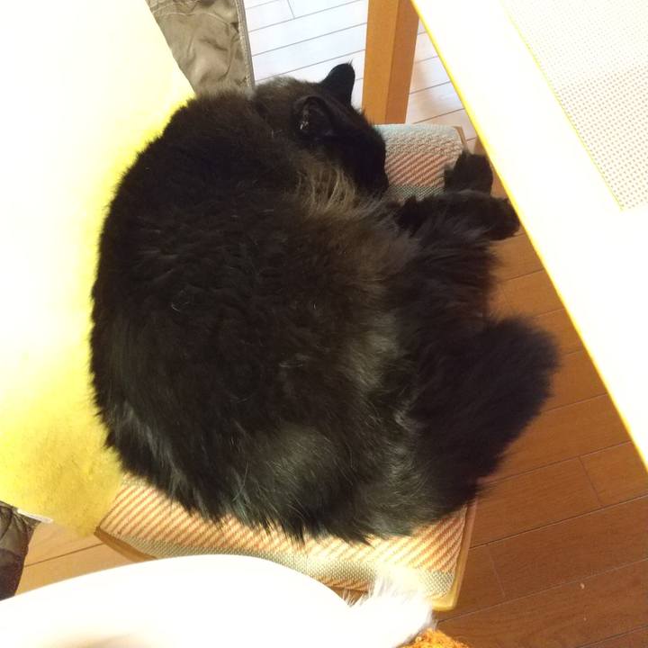 7d516f99 147b 4d4a 811b 12e53e3df820 1610924594196