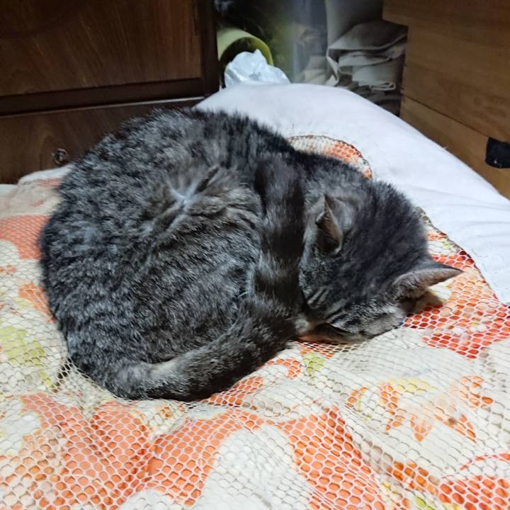 7d518020 152f 4260 b91a f63a627960c5 1572954485059