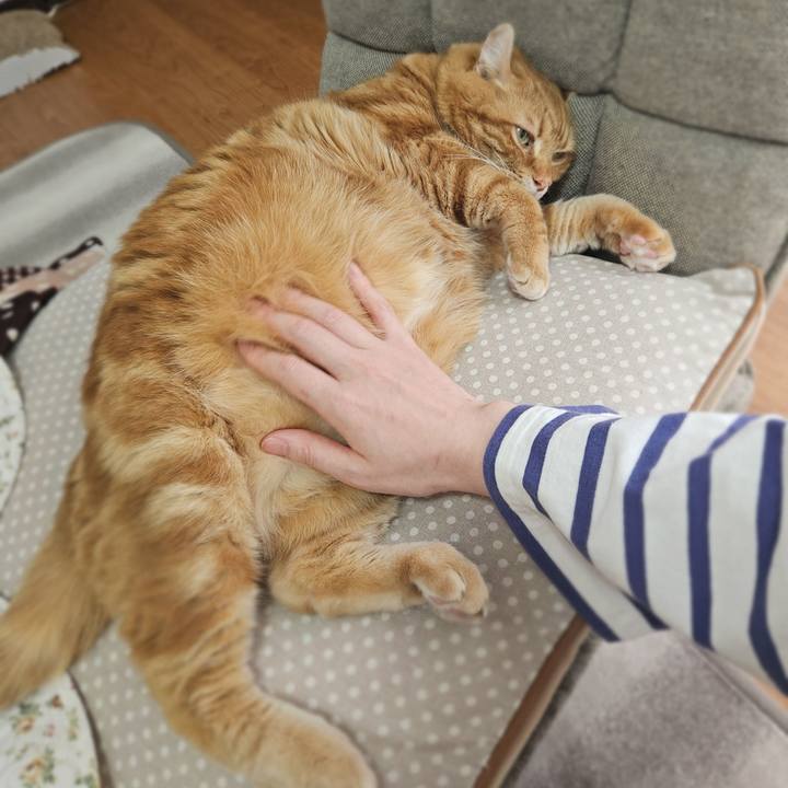 7d521b08 aba8 43b9 9f69 1d88d2996c81 1774674482390