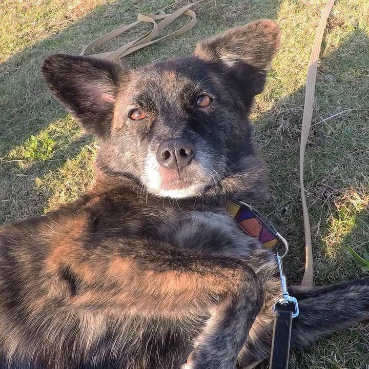 7d522c2b 10a2 4930 9d1f 38cc14cc7a09 1510575180703