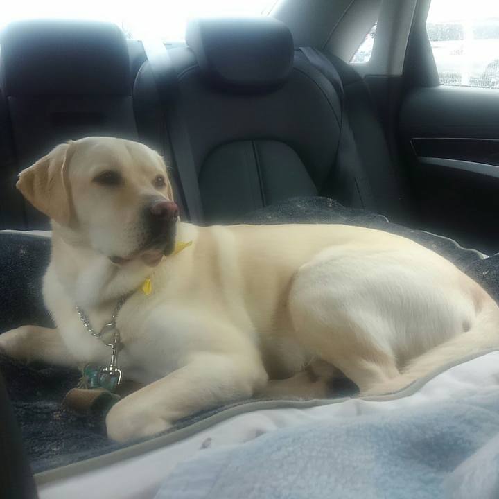 7d526629 3694 436d 9a88 80d2318fbd49 1511405676091