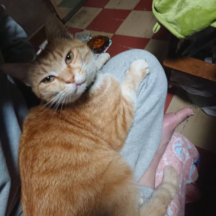 7d52a1e3 3adb 41de a86a f1acb86974fb 1590781973063