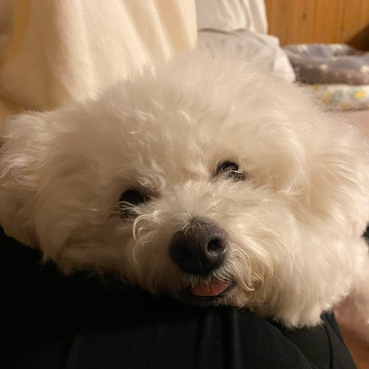 7d52b54c de5b 42f2 ae4a 4e4274aef3d5 1660129754938