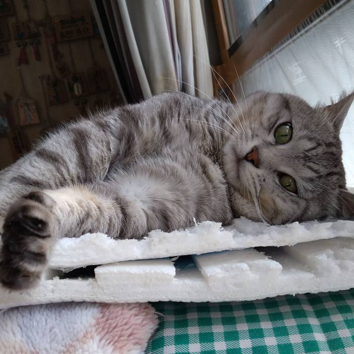 7d52b708 613c 46a0 a82f 19f17fe51a28 1583206860526