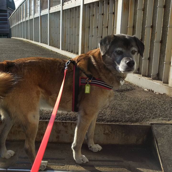 7d52c89c c2f1 48a4 9ee8 b498b8274de6 1518136193015