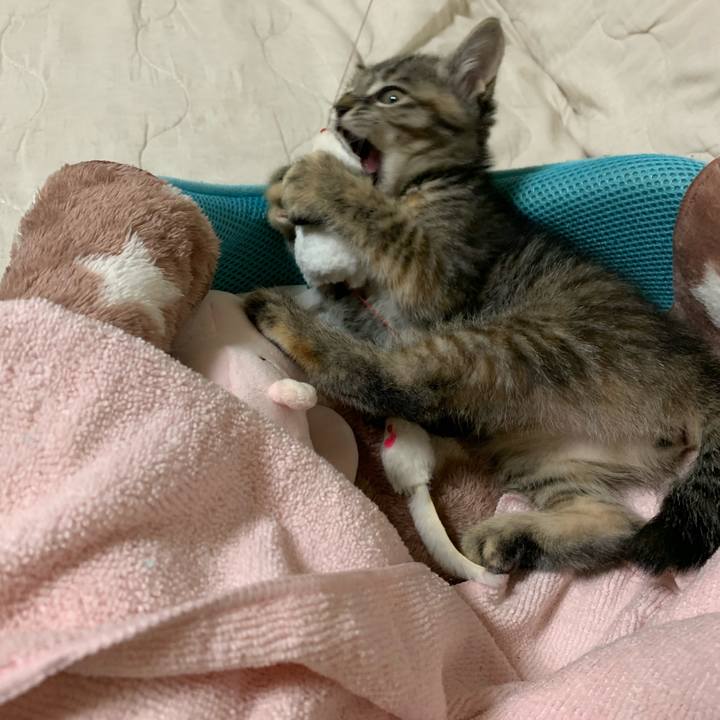 7d52f10e bffa 40b8 afee 6adb5ae6e4e7 1590918360246