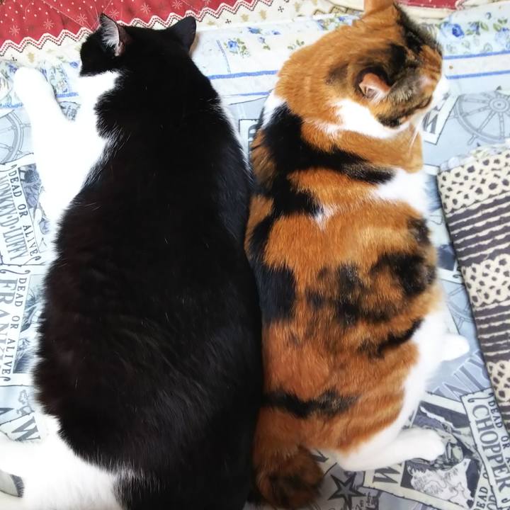 7d530f16 63ef 4229 b19b 4ac066cc6d0a 1570930700094