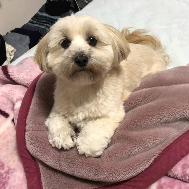 7d530ff8 5371 4975 a6ff eccc0ba5a81f 1511170217251