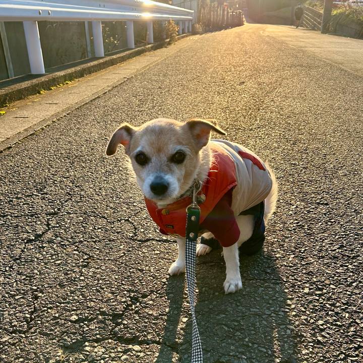 7d5334bf a690 4549 a082 48dff4255aae 1674207618279