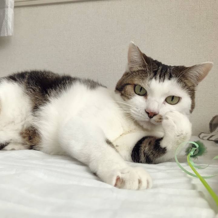 7d534223 1939 4e0e 805a 8ad32495cee5 1576898946607