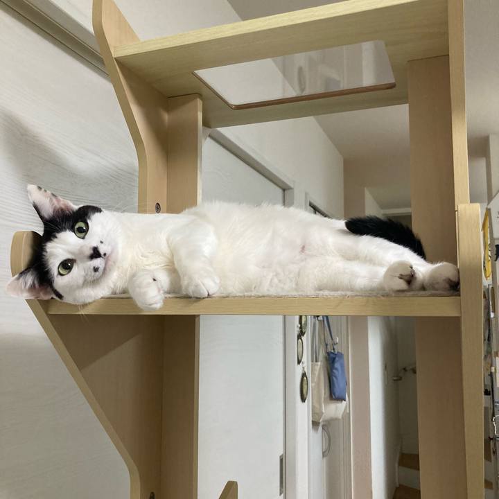 7d534ab4 a90b 4cf3 917b 4615c163d4f3 1771509067943