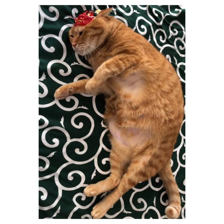 7d53d64b f265 4998 b2e6 fea012615ef3 1612077254610