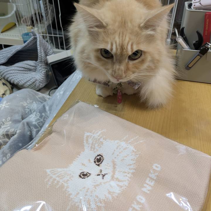 7d53f4dd f422 4492 9077 ceb39445616d 1766656382428