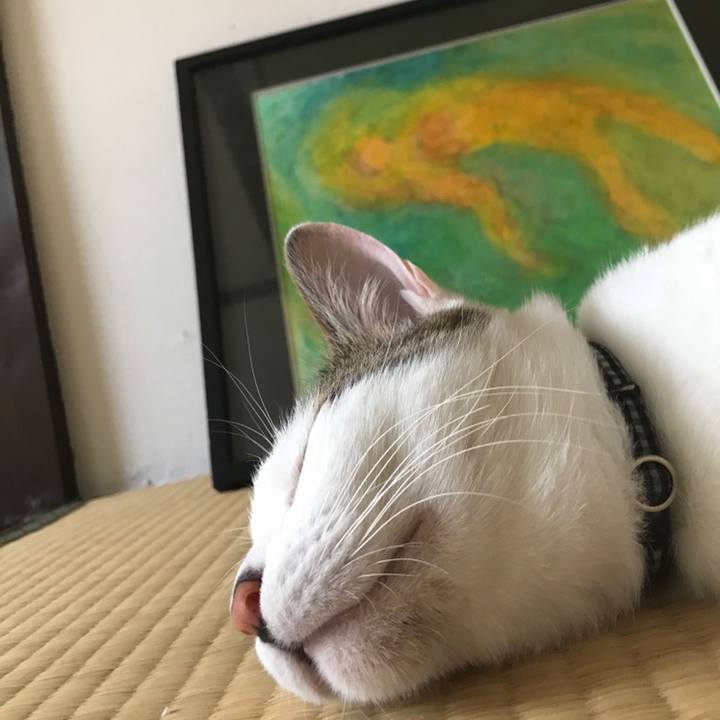 7d542b2b a028 45eb b720 cf69f694b798 1559662204907