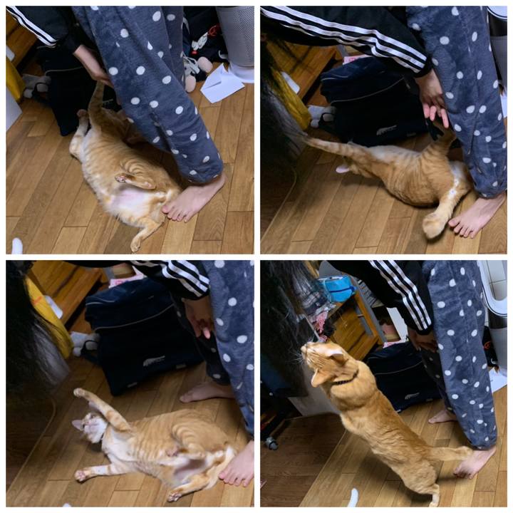 7d542e68 3950 4ab5 87c4 65faa658fa0d 1608820370330