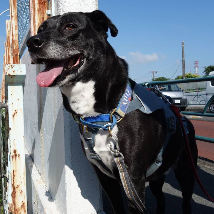 7d542fa8 c002 41be bba3 19d6499e88b7 1717548161533