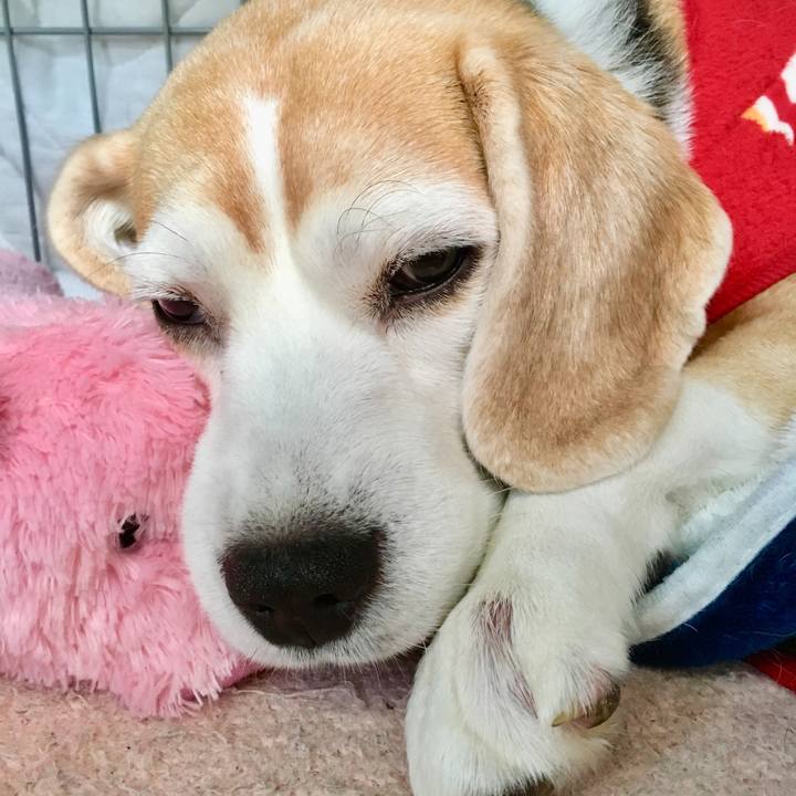 7d545ba8 8062 4e9e 94da aac192f9c58c 1554953403663