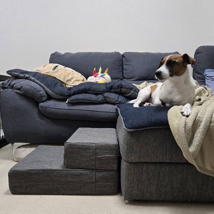 7d54e0c6 cd16 4b10 bf89 11d605ae82cf 1762690287825