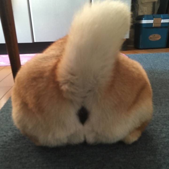 7d550502 41a2 4a69 a48b 0cbd2e5eff8e 1561112473468